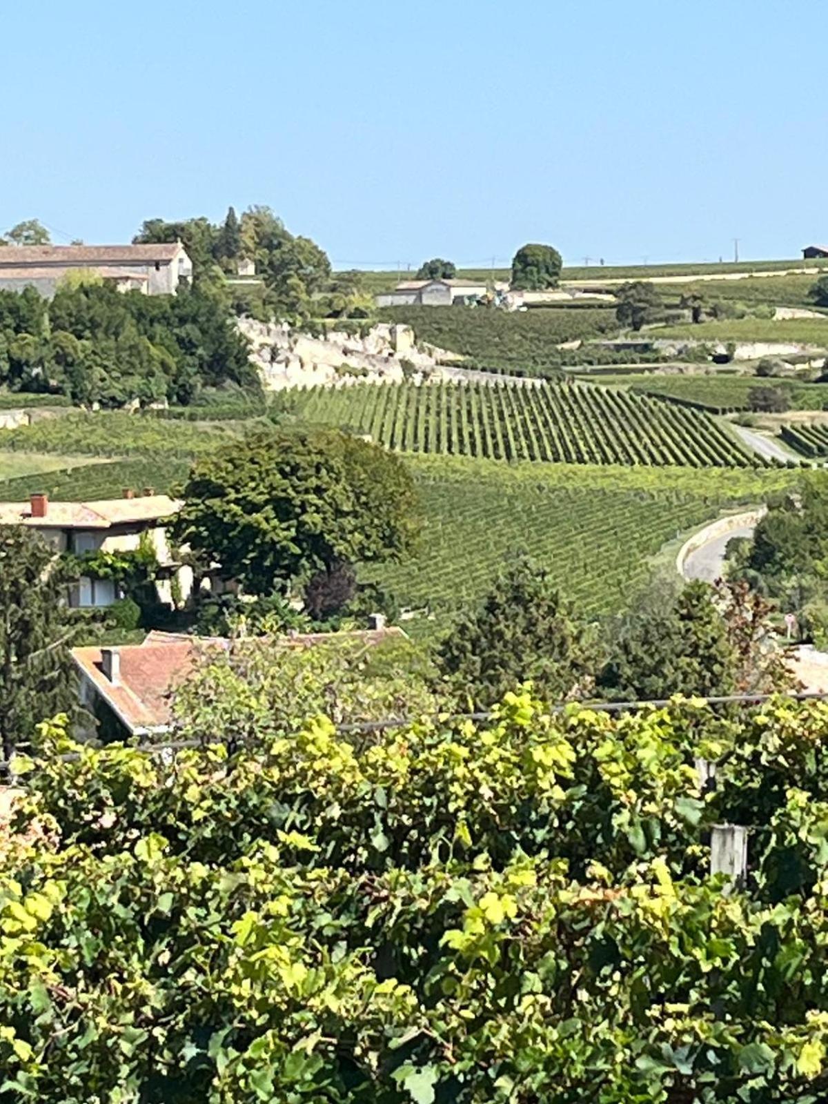 Les Logis Des Vignobles Emilion En Duplex N 2 Avec Terrasse *